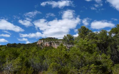 Sendero Los Estrechos (Montanejos)