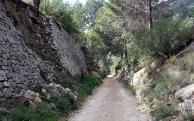 Vía Verde del Serpis de Villalonga a L'Orxa